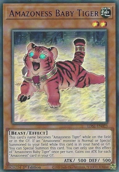 Amazoness Baby Tiger Purple Legendary Duelists: Season 1 Yu-Gi-Oh! card