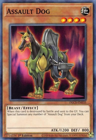 Assault Dog Dragons of Legend: The Complete Series Yu-Gi-Oh! card