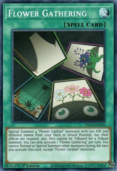 Flower Gathering Dragons of Legend: The Complete Series Yu-Gi-Oh! card
