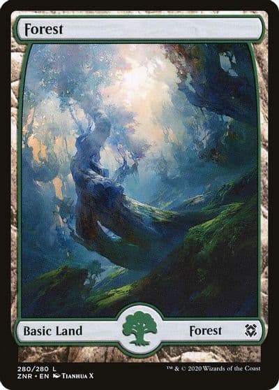 Forest 280 Full Art Zendikar Rising Magic card