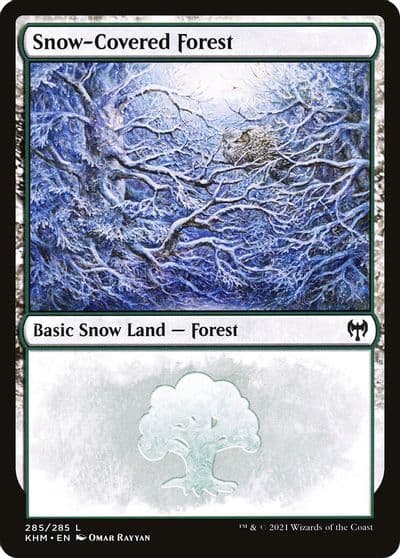 Snow Covered Forest 285 Kaldheim Magic card