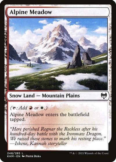 Alpine Meadow Kaldheim Magic card