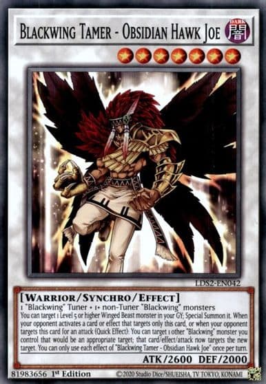 Blackwing Tamer Obsidian Hawk Joe Legendary Duelists: Season 2 Yu-Gi-Oh! card