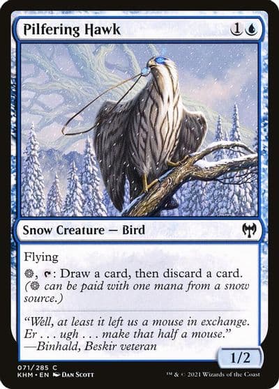 Pilfering Hawk Kaldheim Magic card