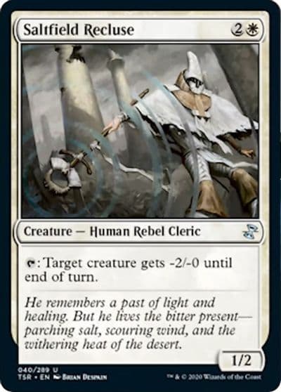 Saltfield Recluse Time Spiral: Remastered Magic card