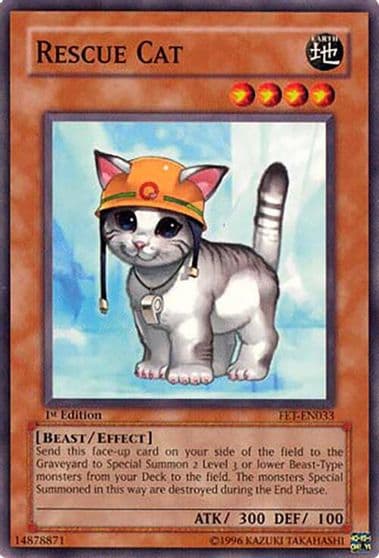 Rescue Cat Flaming Eternity Yu-Gi-Oh! card