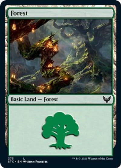 Forest 375 Strixhaven: School of Mages Magic card