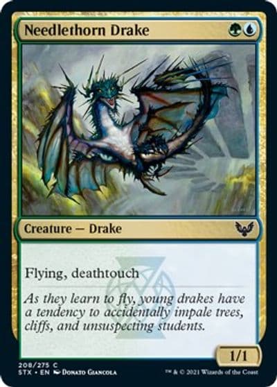 Needlethorn Drake Strixhaven: School of Mages Magic card
