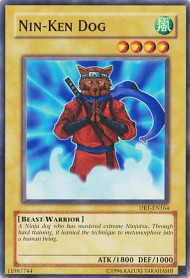 Nin Ken Dog Dark Revelation Volume 1 Yu-Gi-Oh! card
