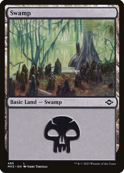 Swamp 485 Modern Horizons 2 Magic card