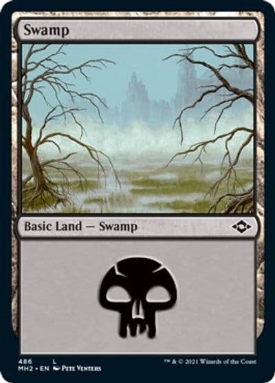 Swamp 486 Foil Etched Modern Horizons 2 Magic card
