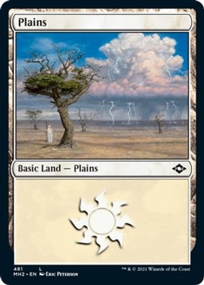 Plains 481 Foil Etched Modern Horizons 2 Magic card