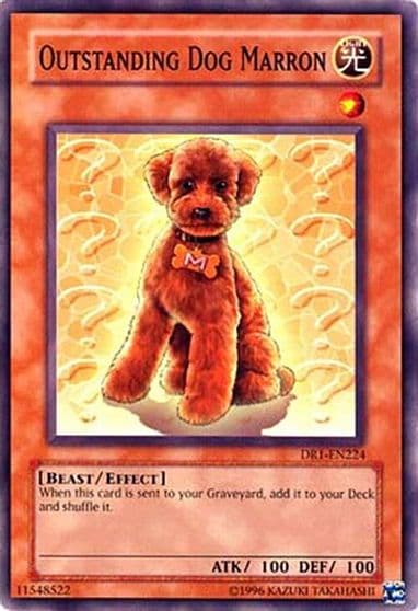 Outstanding Dog Marron Dark Revelation Volume 1 Yu-Gi-Oh! card