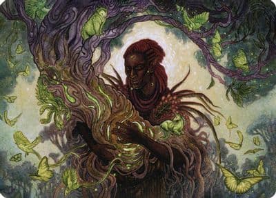 Circle of Dreams Druid Art Card Art Series: Adventures in the Forgotten Realms Magic card