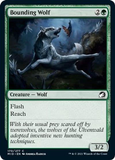 Bounding Wolf Innistrad: Midnight Hunt Magic card