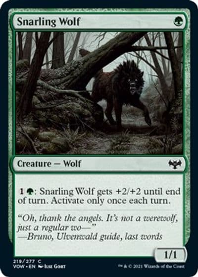 Snarling Wolf Innistrad: Crimson Vow Magic card