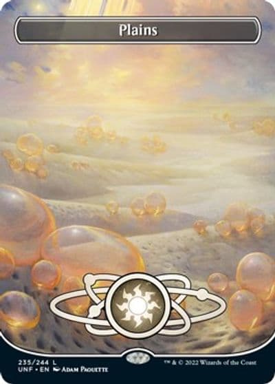 Plains 235 Borderless Unfinity Magic card