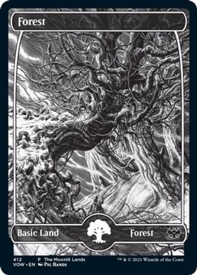 Forest Moonlit Land Foil Etched WPN & Gateway Promos Magic card
