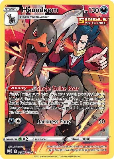 Houndoom SWSH09: Brilliant Stars Trainer Gallery Pokemon card