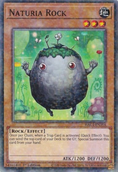 Naturia Rock Duel Terminal Hidden Arsenal: Chapter 1 Yu-Gi-Oh! card