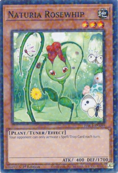 Naturia Rosewhip Duel Terminal Hidden Arsenal: Chapter 1 Yu-Gi-Oh! card