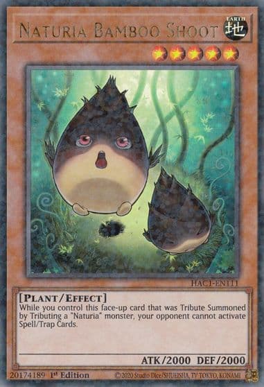 Naturia Bamboo Shoot Duel Terminal Hidden Arsenal: Chapter 1 Yu-Gi-Oh! card