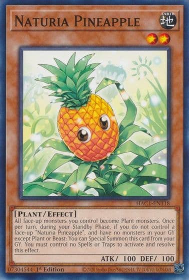 Naturia Pineapple Hidden Arsenal: Chapter 1 Yu-Gi-Oh! card