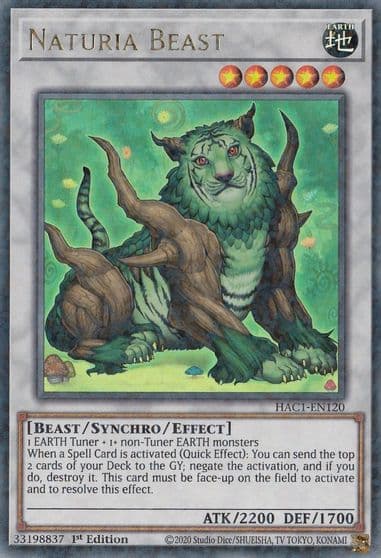 Naturia Beast Duel Terminal Hidden Arsenal: Chapter 1 Yu-Gi-Oh! card