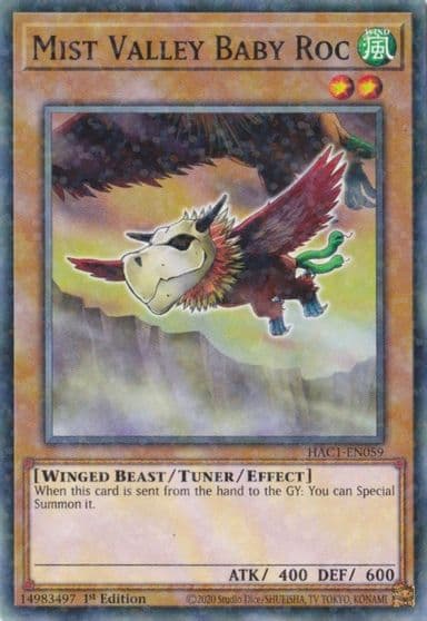 Mist Valley Baby Roc Duel Terminal Hidden Arsenal: Chapter 1 Yu-Gi-Oh! card