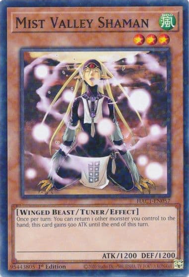 Mist Valley Shaman Duel Terminal Hidden Arsenal: Chapter 1 Yu-Gi-Oh! card