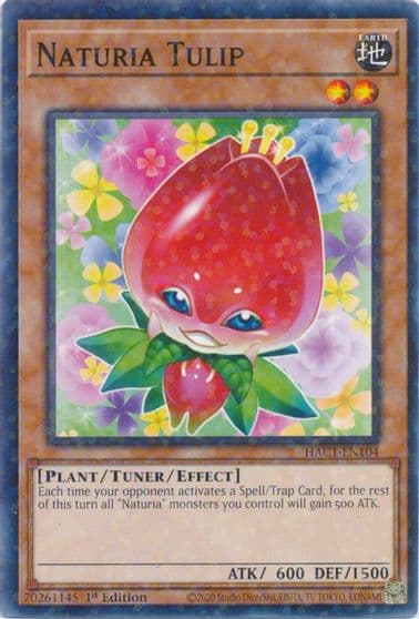 Naturia Tulip Duel Terminal Hidden Arsenal: Chapter 1 Yu-Gi-Oh! card