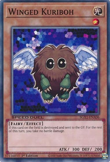 Winged Kuriboh Speed Duel GX: Duel Academy Box Yu-Gi-Oh! card
