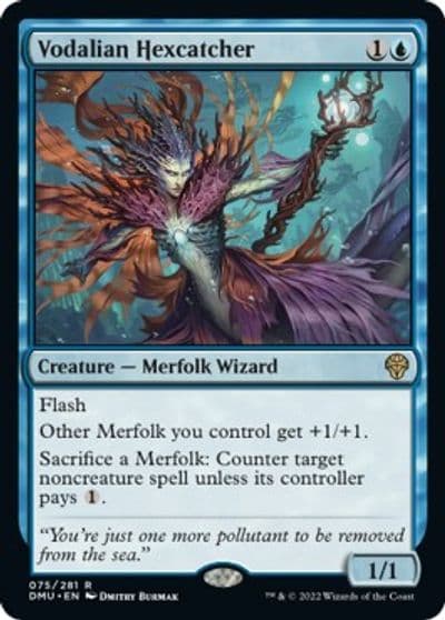 Vodalian Hexcatcher Dominaria United Magic card