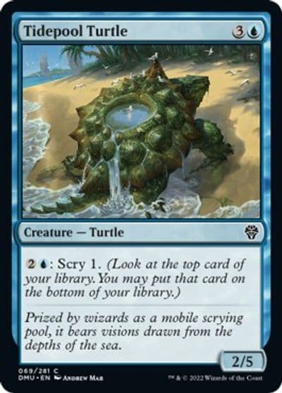 Tidepool Turtle Dominaria United Magic card