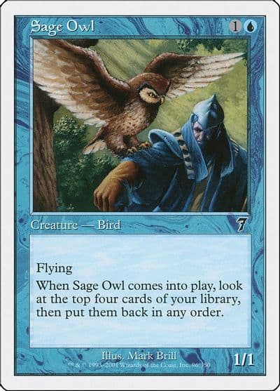 Sage Owl 7th Edition Magic card