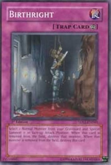 Birthright 5D's 2008 Starter Deck Yu-Gi-Oh! card