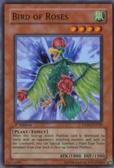Bird of Roses The Shining Darkness Yu-Gi-Oh! card