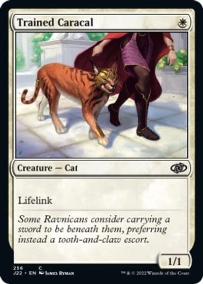 Trained Caracal Jumpstart 2022 Magic card