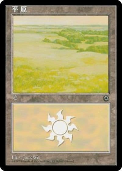 Plains CS Alternate Art 199s Portal Magic card
