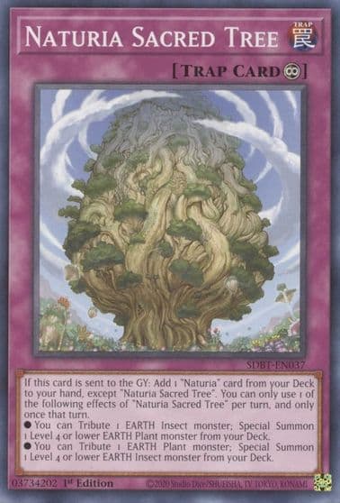 Naturia Sacred Tree Structure Deck: Beware of Traptrix Yu-Gi-Oh! card