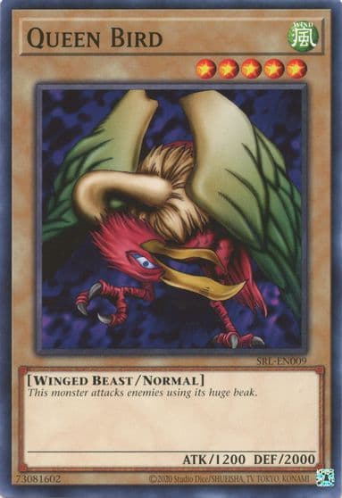 Queen Bird Spell Ruler (25th Anniversary Edition) Yu-Gi-Oh! card