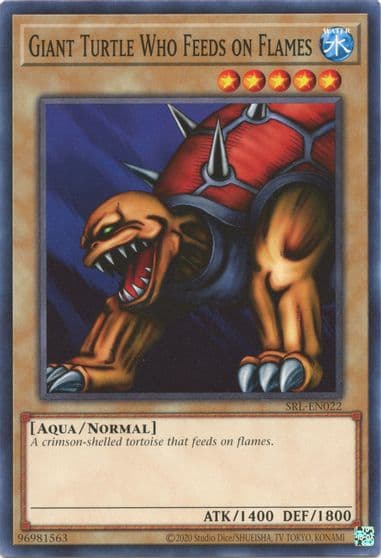 Giant Turtle Who Feeds on Flames Spell Ruler (25th Anniversary Edition) Yu-Gi-Oh! card