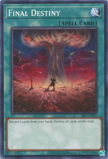 Final Destiny Spell Ruler (25th Anniversary Edition) Yu-Gi-Oh! card