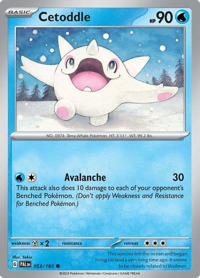 Cetoddle SV02: Paldea Evolved Pokemon card