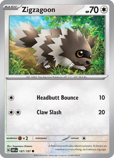 Zigzagoon SV03: Obsidian Flames Pokemon card