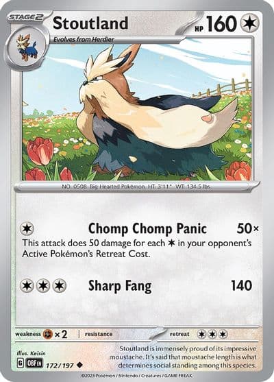 Stoutland SV03: Obsidian Flames Pokemon card