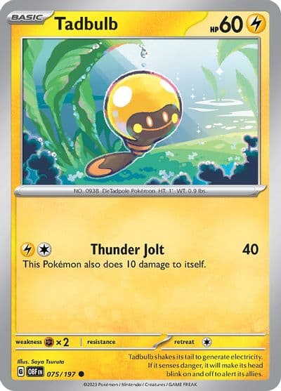 Tadbulb SV03: Obsidian Flames Pokemon card