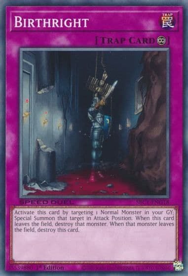 Birthright Speed Duel: Streets of Battle City Yu-Gi-Oh! card