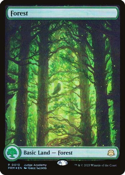 Forest Full Art 0010 Judge Promos Magic card