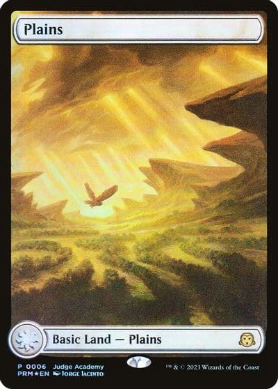 Plains Full Art 0006 Judge Promos Magic card